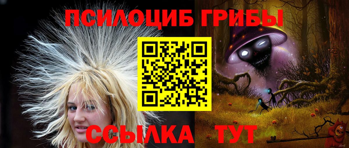 Галлюциногенные грибы MAGIC MUSHROOMS  Вход с VPN  Сафоново 