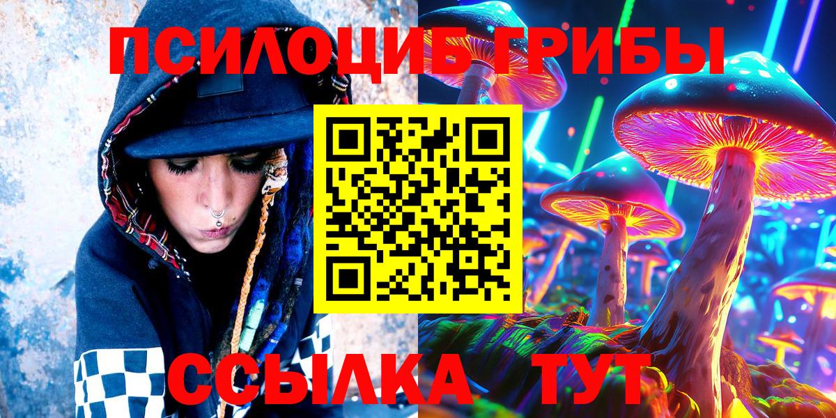 Галлюциногенные грибы Psilocybe Сафоново