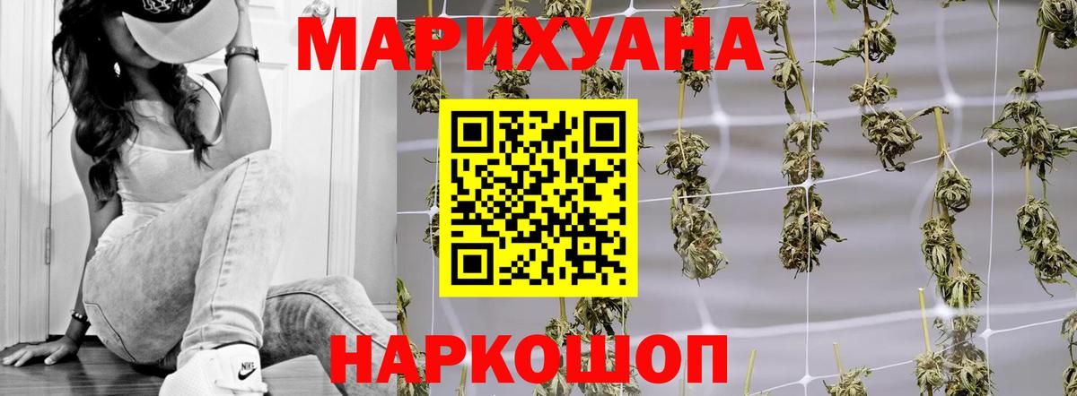 Бошки марихуана конопля  Шишки марихуана THC 21%  Вход с VPN  Сафоново  Канабис план  Марихуана White Widow 